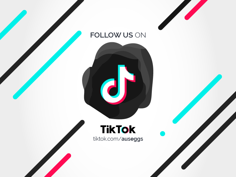 TikTok Logo